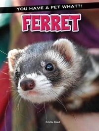 Enlarge image Cover: Ferret - Rourke Educational Media