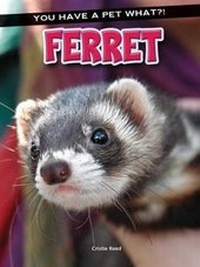 Enlarge image Cover: Ferret - Rourke Educational Media