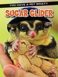 Cover: Sugar Glider - Rourke Educational Media