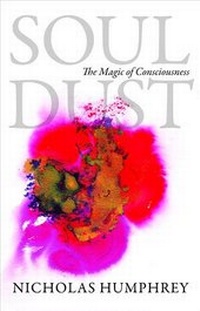 Enlarge image Cover: Soul Dust - Princeton University Press