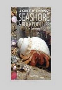 Enlarge image Cover: A Guide to Finding Seashore and Rockpool Life in Somerset - Pisces Publications