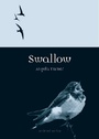 Cover: Swallow - Reaktion Books