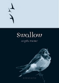 Enlarge image Cover: Swallow - Reaktion Books
