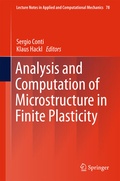 Cover: Analysis and Computation of Microstructure in Finite Plasticity - Springer