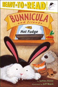 Enlarge image Cover: Hot Fudge - Simon & Schuster