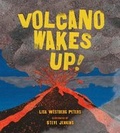 Cover: Volcano Wakes Up! - St Martin's Press