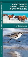 Cover: Assateague/Chincoteague Seashore Life - Waterford Press Ltd