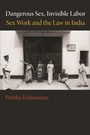 Cover: Dangerous Sex, Invisible Labor - Princeton University Press