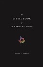Cover: The Little Book of String Theory - Princeton University Press