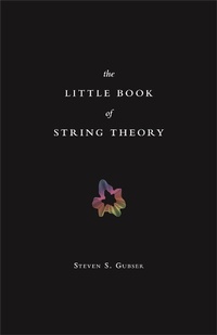 Abbildung von: The Little Book of String Theory - Princeton University Press