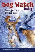 Cover: Danger at Snow Hill: Volume 3 - Aladdin