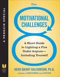 Enlarge image Cover: The 8 Motivational Challenges - Avery