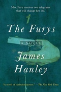 Cover: The Furys - Open Road Media