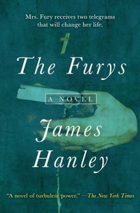 Enlarge image Cover: The Furys - Open Road Media