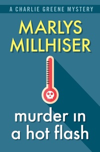 Enlarge image Cover: Murder in a Hot Flash - Open Road Media Mystery & Thriller
