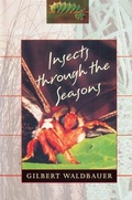 Cover: Insects through the Seasons - Harvard University Press