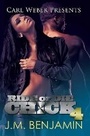 Cover: Ride or Die Chick 4 - Urban Books