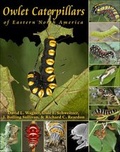 Cover: Owlet Caterpillars of Eastern North America - Princeton University Press