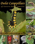 Cover: Owlet Caterpillars of Eastern North America - Princeton University Press