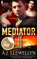 Cover: The Mediator - Entwined Publishing