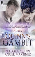 Cover: Quinn's Gambit - Entwined Publishing