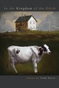Cover: In the Kingdom of the Ditch - Michigan State University Press
