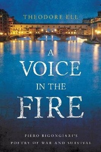 Enlarge image Cover: A Voice in the Fire - Troubador Publishing