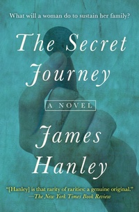 Enlarge image Cover: The Secret Journey - Open Road Media
