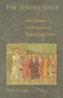 Cover: The Jewish Jesus - Princeton University Press