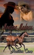 Cover: Montana Madness - Writers Exchange E-Publishing