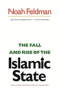 Cover: The Fall and Rise of the Islamic State - Princeton University Press