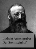 Cover: Der Sternsteinhof - Books on Demand