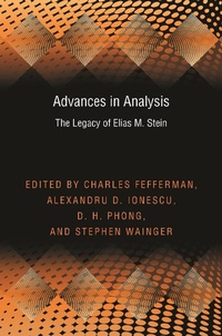 Enlarge image Cover: Advances in Analysis - Princeton University Press