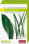 Cover: Schnittgr&uuml;n - BLOOM'S