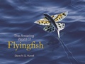 Cover: The Amazing World of Flyingfish - Princeton University Press