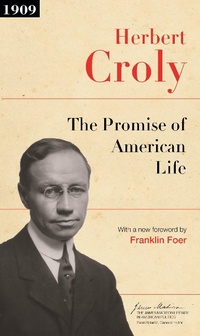 Enlarge image Cover: The Promise of American Life - Princeton University Press