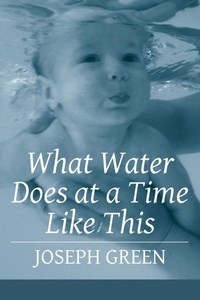 Enlarge image Cover: What Water Does at a Time Like This - Moonpath Press