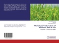 Cover: Phenotypic trait analysis of advanced lines in rice - LAP Lambert Academic Publishing