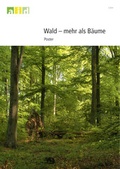 Cover: Wald - mehr als B&auml;ume - Poster - Bundesanstalt f&uuml;r Landwirtschaft und Ern&auml;hrung