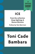 Cover: Ice - Knopf Doubleday Publishing Group