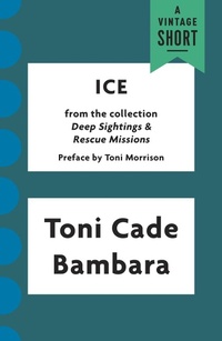 Enlarge image Cover: Ice - Knopf Doubleday Publishing Group