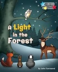 Cover: A Light in the Forest - Ransom Publishing