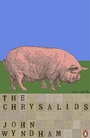 Cover: The Chrysalids - Penguin Books Ltd