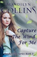 Cover: Capture The Wind For Me - Challow Press
