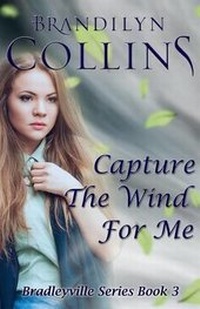 Enlarge image Cover: Capture The Wind For Me - Challow Press