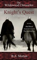 Cover: Knight's Quest - Twisted Ink Publishing