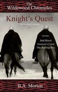 Enlarge image Cover: Knight's Quest - Twisted Ink Publishing