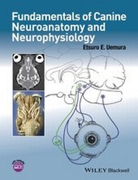 Bild: Fundamentals of Canine Neuroanatomy and Neurophysiology - Wiley-Blackwell