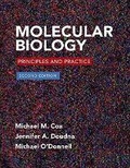 Cover: Molecular Biology - W.H.Freeman & Co Ltd