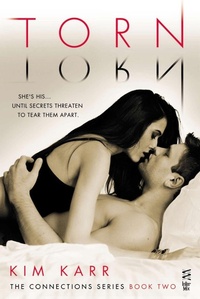 Enlarge image Cover: Torn - Berkley